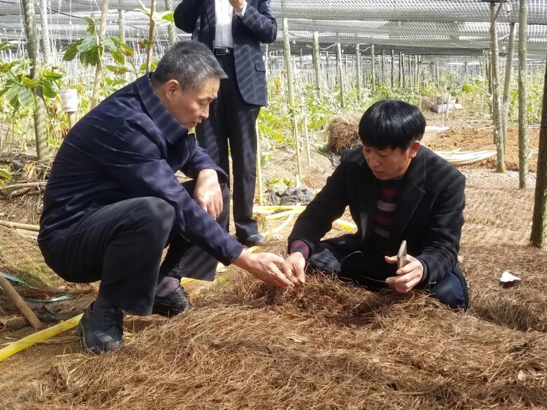 权门国际官网-相信品牌力量