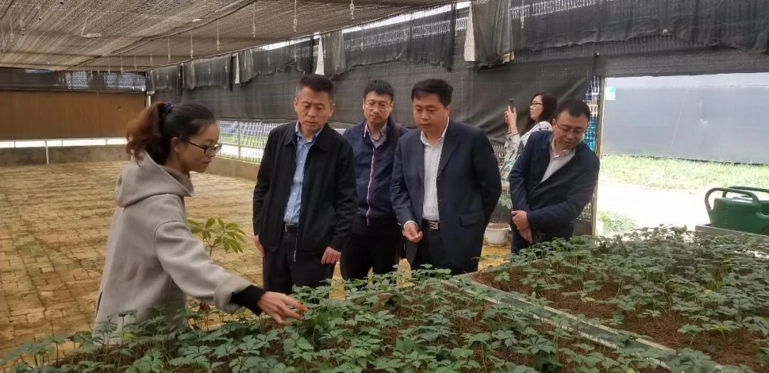 权门国际官网-相信品牌力量