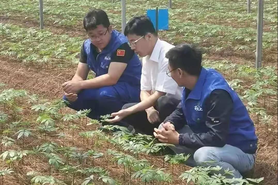 权门国际官网-相信品牌力量