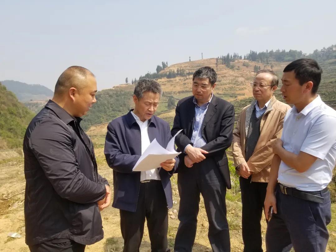 权门国际官网-相信品牌力量