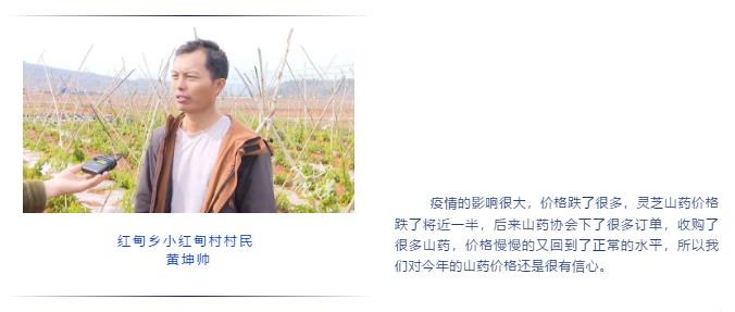 权门国际官网-相信品牌力量